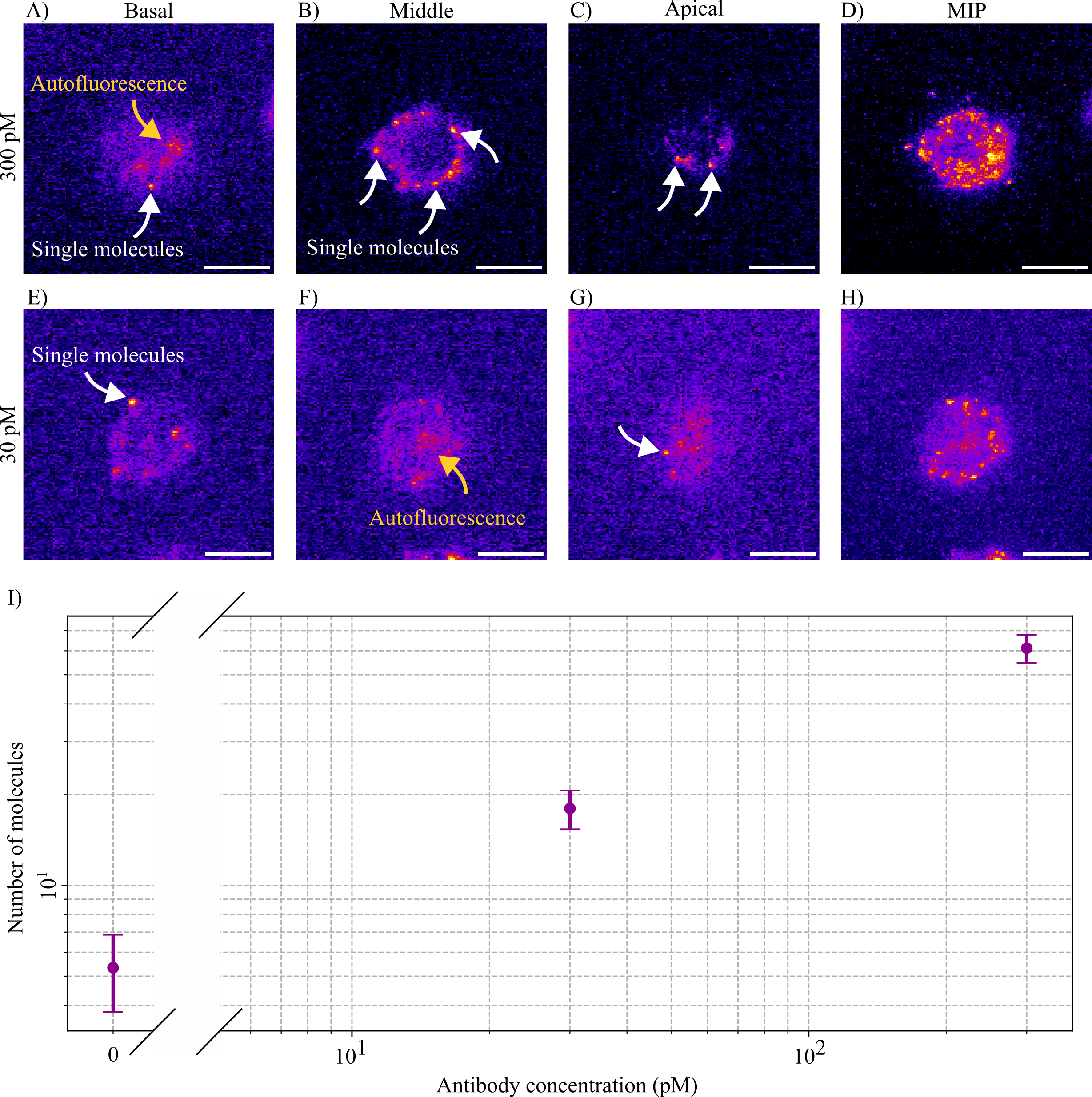 Single-molecule flow cytometry thumbnail